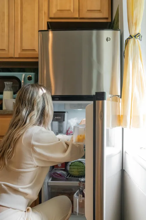 Refrigeradora 02