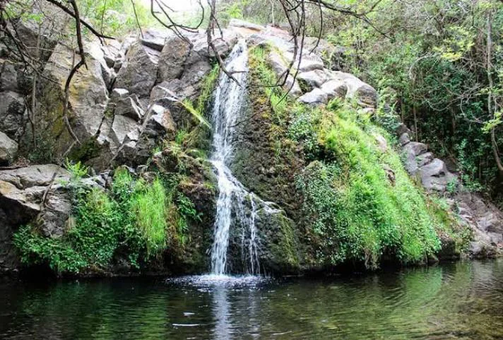 reserva natural la cascada