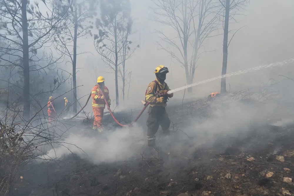 Foto: Sebastián Gil Miranda 