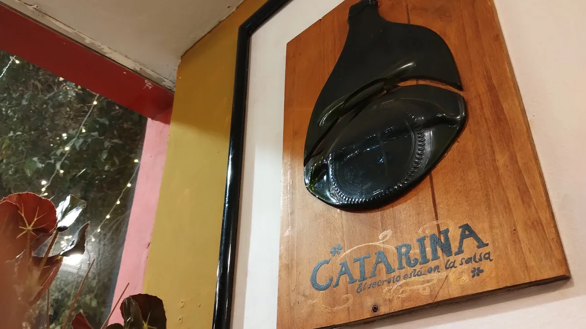 catarina (10)
