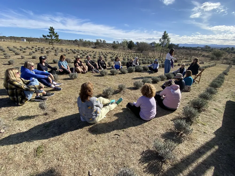 paseos islavanda 1 (1)