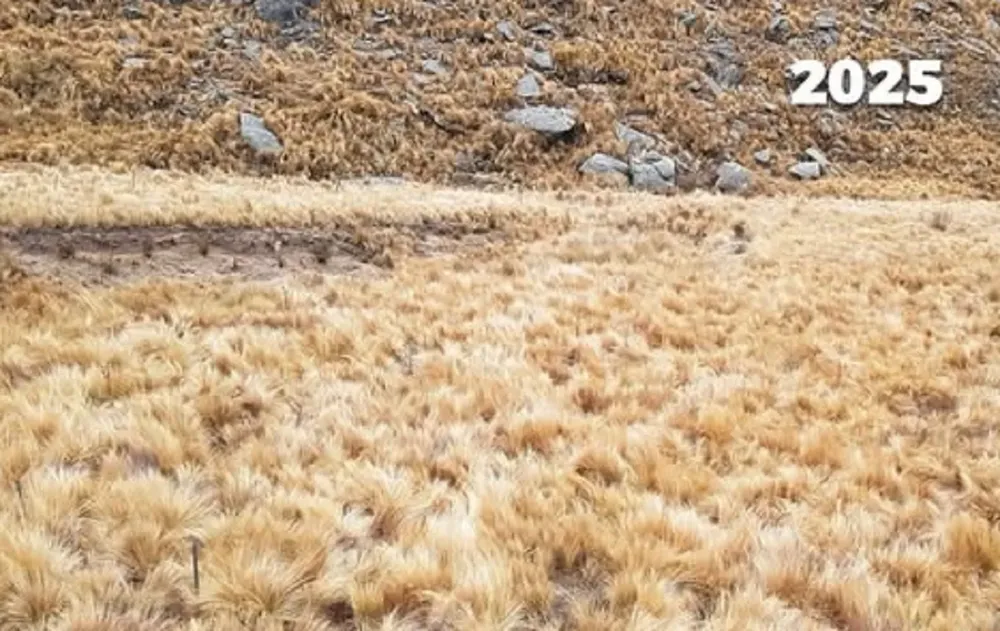 cárcava sembradores de agua