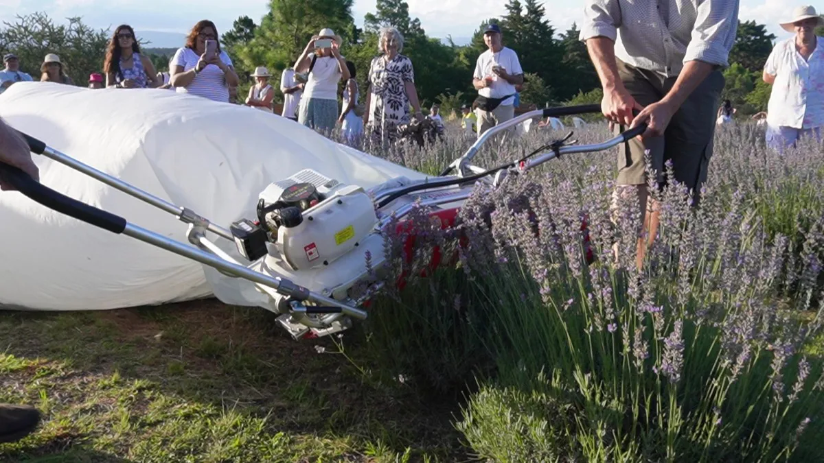 COSECHA CAPTURA .jpg