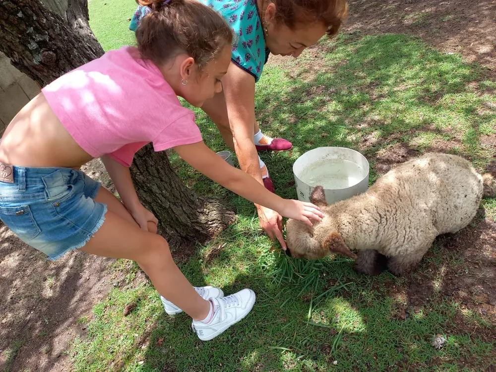 WhatsApp Image 2024-10-02 at 7.01.10 PM