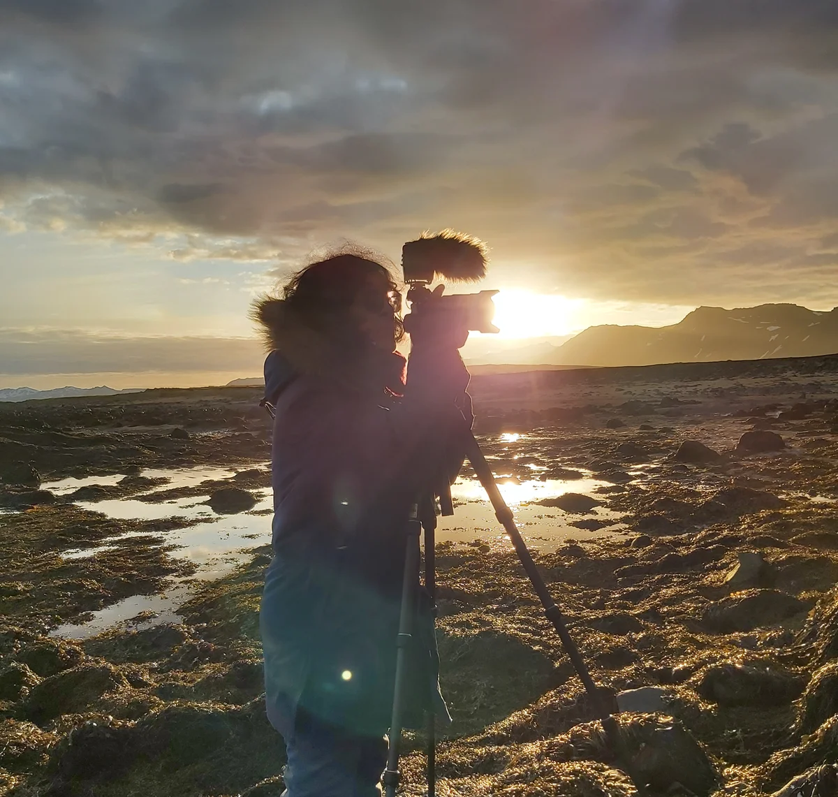 Pelicula Errante (4)