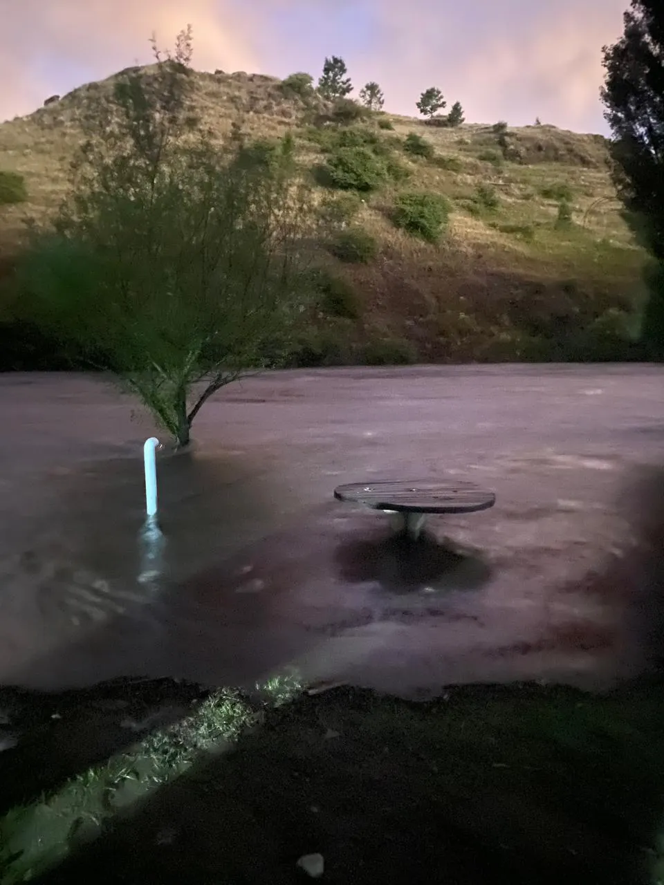 0a30877f-f0b9-4105-bd46-c8283486071b