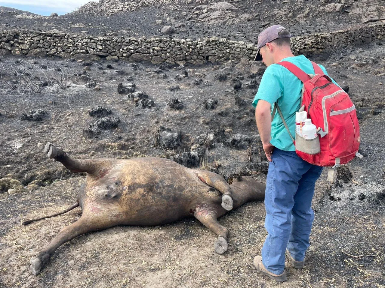 incendios en yacanto