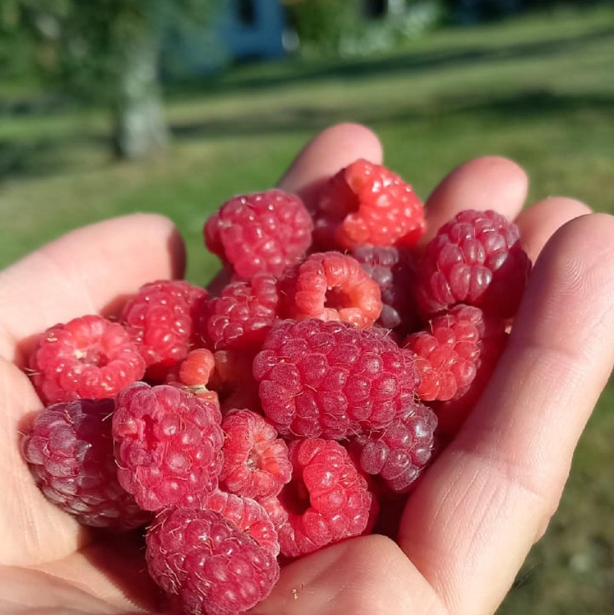 Ramona Delicias del Valle Villa General Belgrano