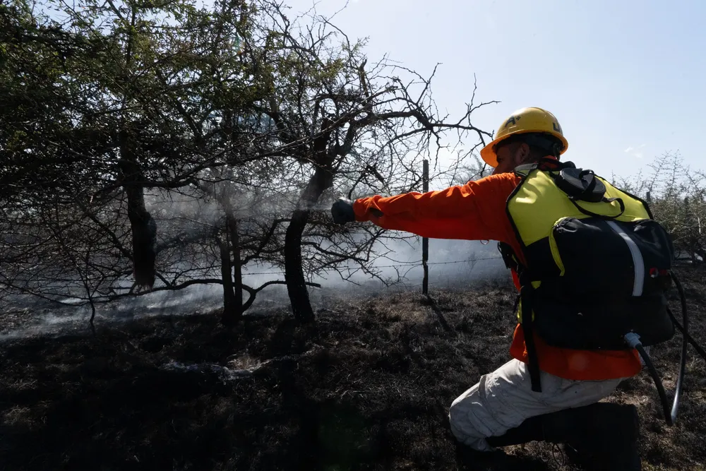 Incendio en Villa General Belgrano -  Foto: Gentileza Sebastián Gil Miranda
