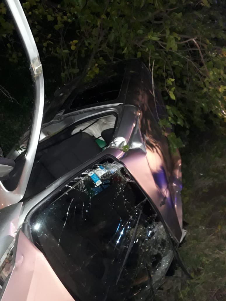 Vuelco en ruta 5, rumipal