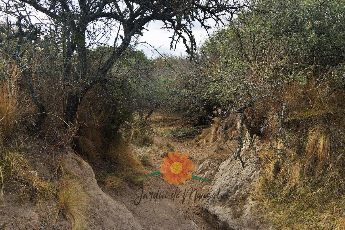 jardín de monsalvo reserva privada calamuchita