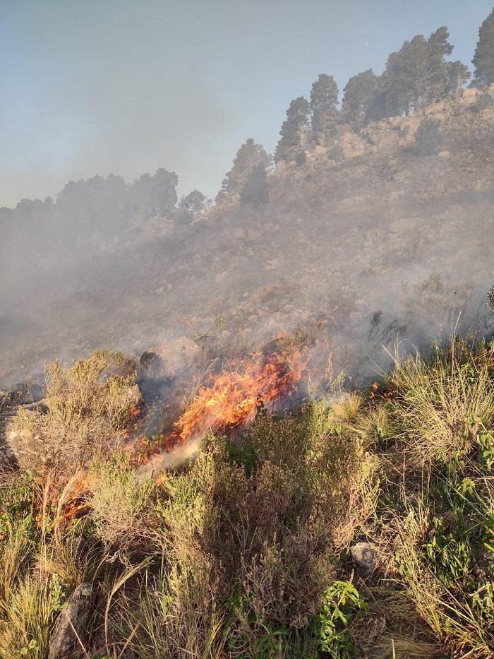 INCENDIO LUTTI 04