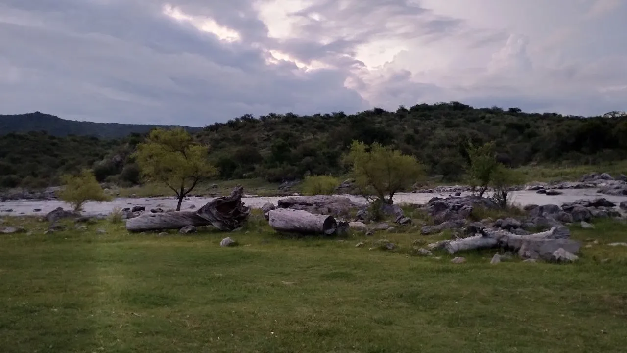 photo_2025-01-31_11-42-35