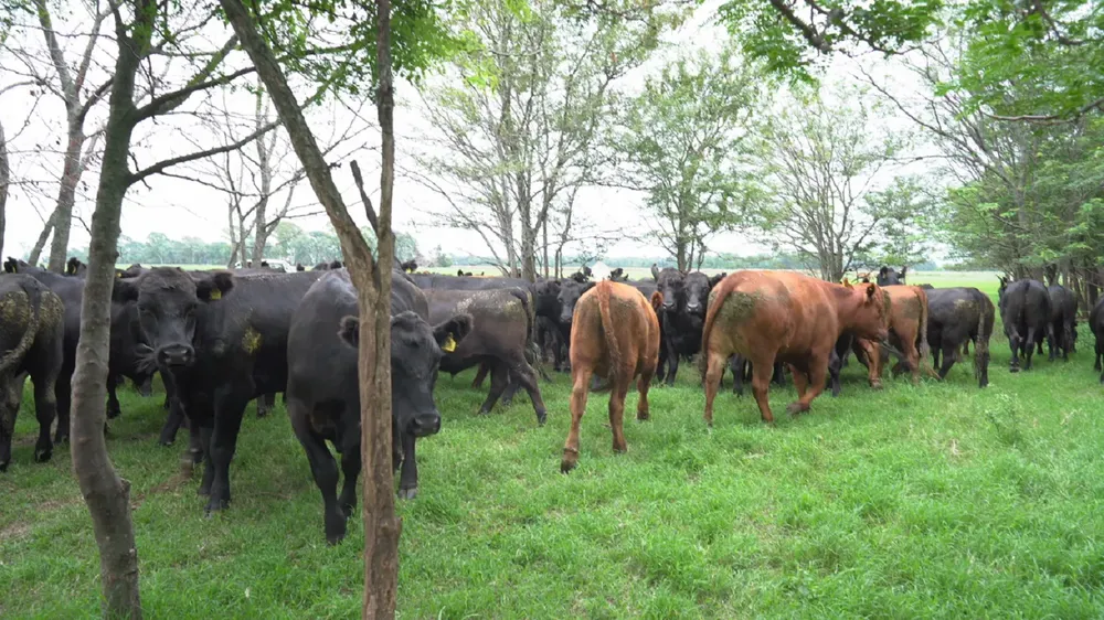 WhatsApp Image 2024-12-17 at 7.58.41 PM