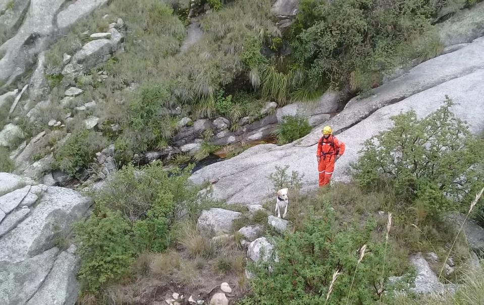 Perro de búsqueda en el Cerro Champaquí 01