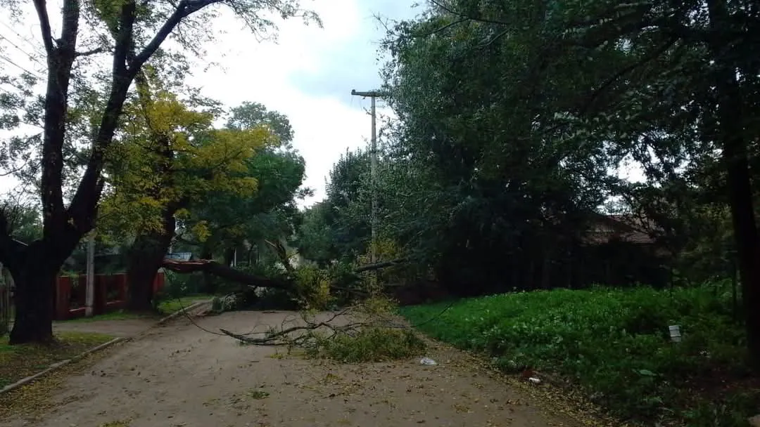 d09afd16-f67d-4ca0-bfe1-d25a201eda50