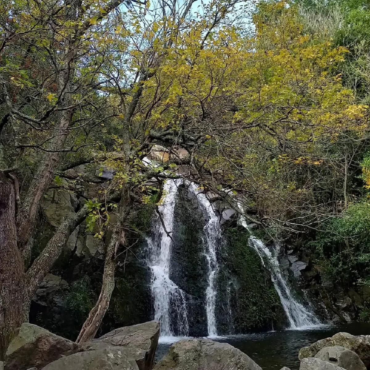 WhatsApp Image 2024-05-31 at 10.49.28