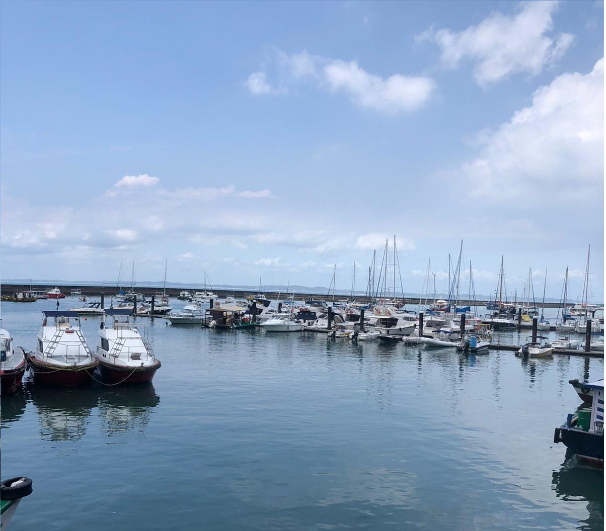 romina ferreyta nautica automotor tramites (1)