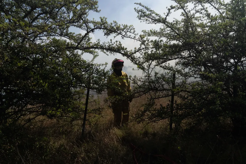 Incendio en Villa General Belgrano -  Foto: Gentileza Sebastián Gil Miranda