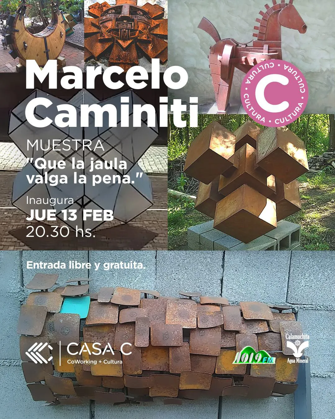 WhatsApp Image 2025-02-12 at 9.25.50 PM