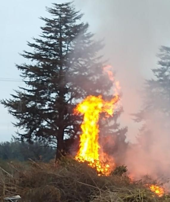 INCENDIO EN CERRO PISTARINI EMBALSE 01