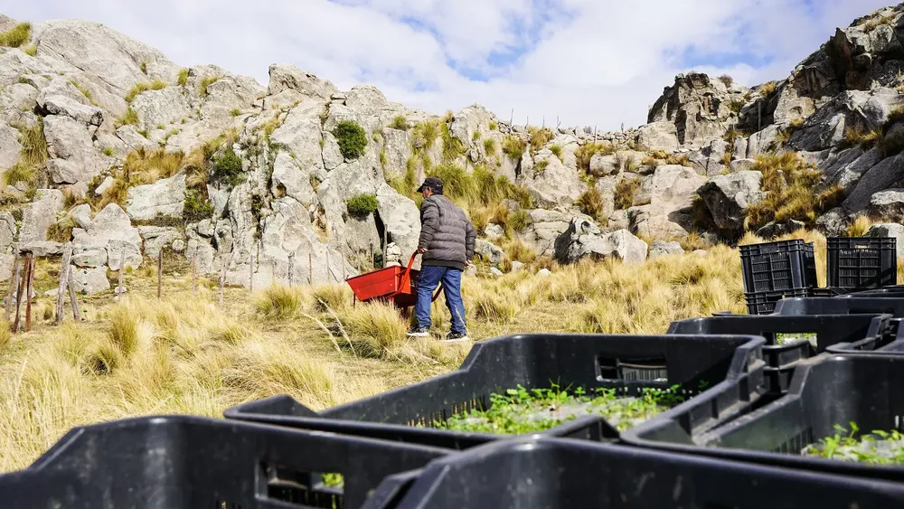 Sembradores de Agua 2025 - fotos Uky Ceballos (10)