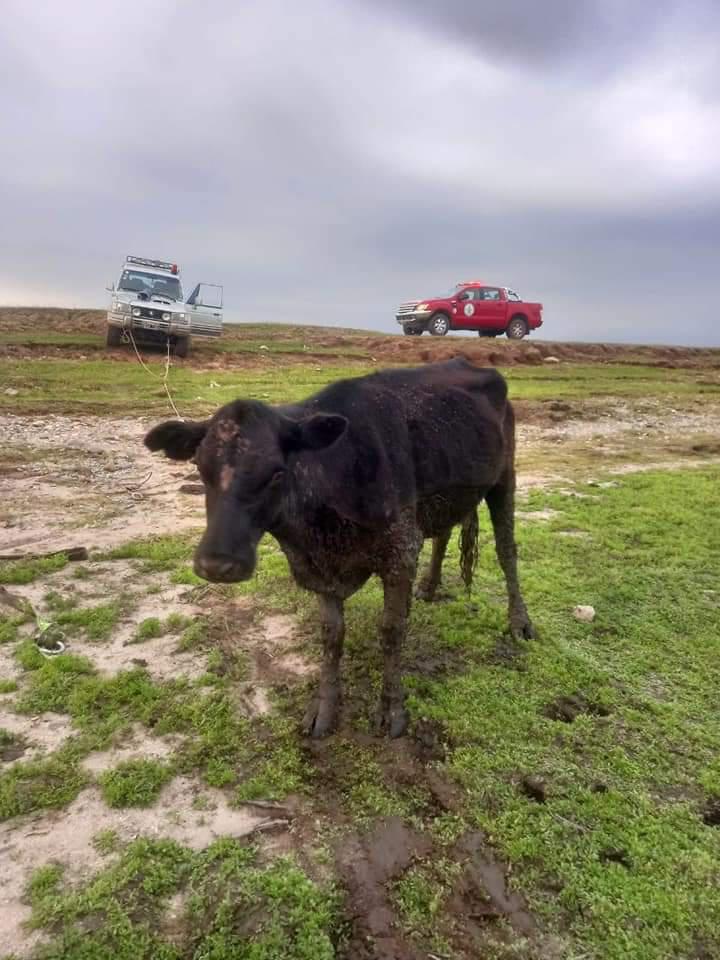 5fe192f3-0752-43b2-b6b8-66c56ace1ebb