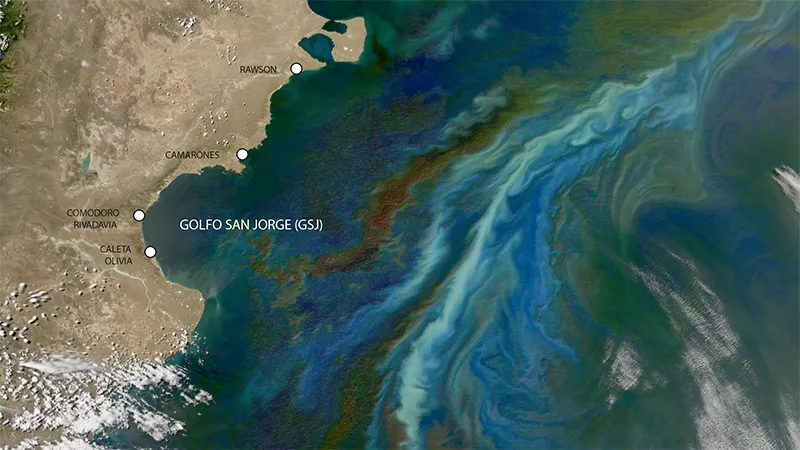 imagen-mar-argentino_vf