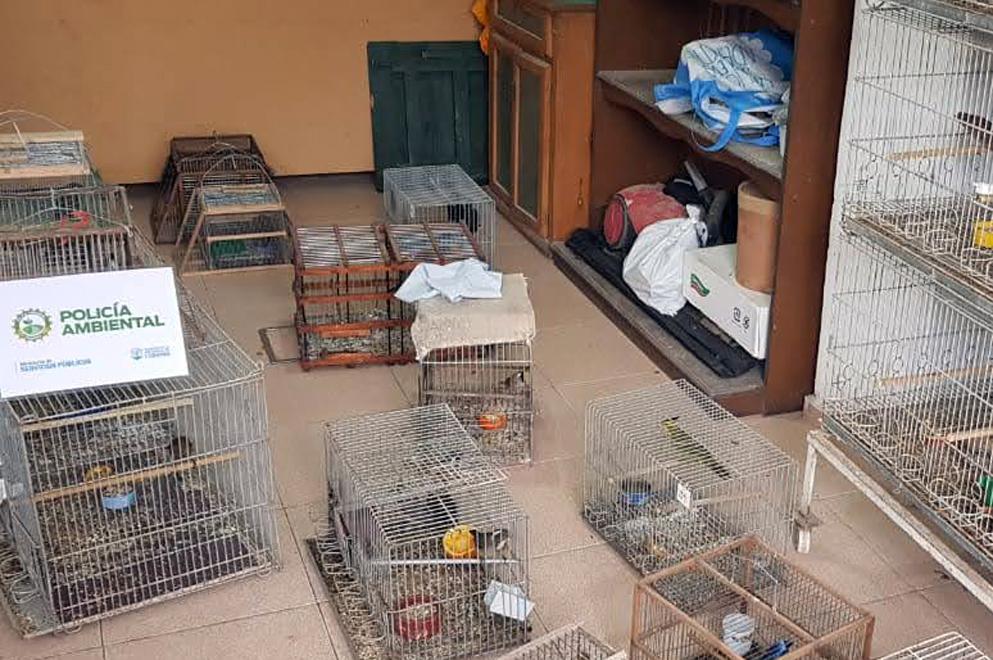 secuestro de aves 1