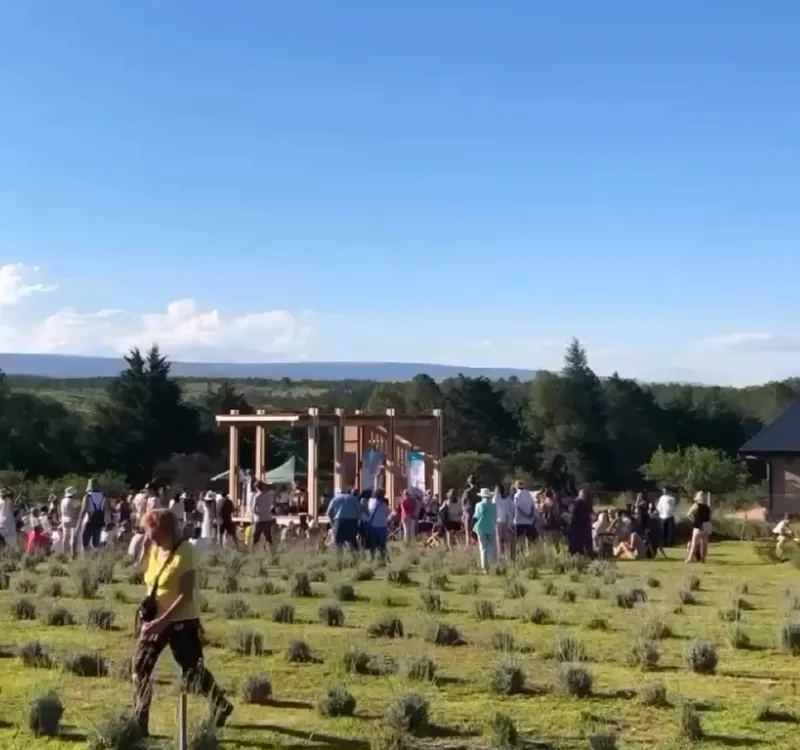 festival de la cosecha de la lavanda en islavanda 2025