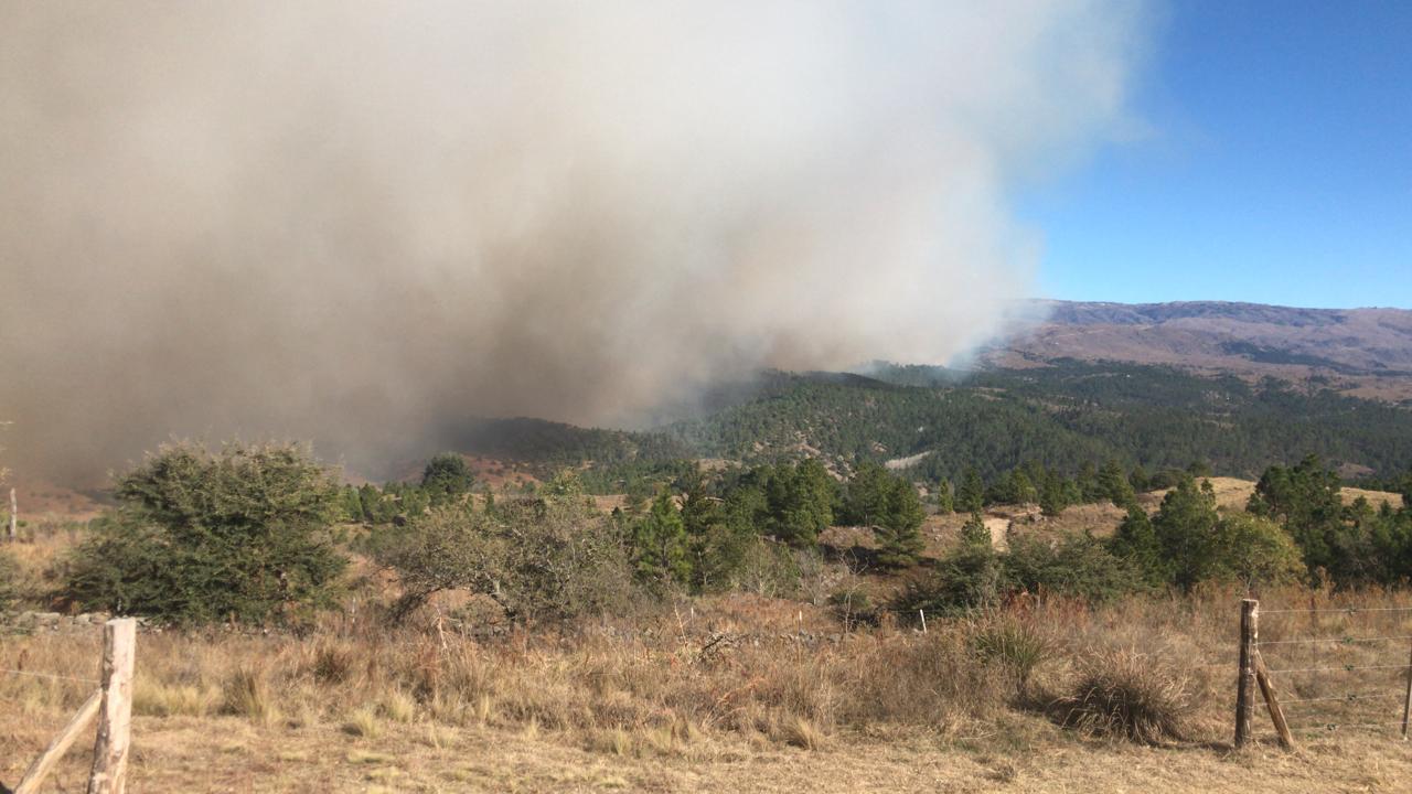 bb135986-ef2b-4833-9938-501b735a9ba6