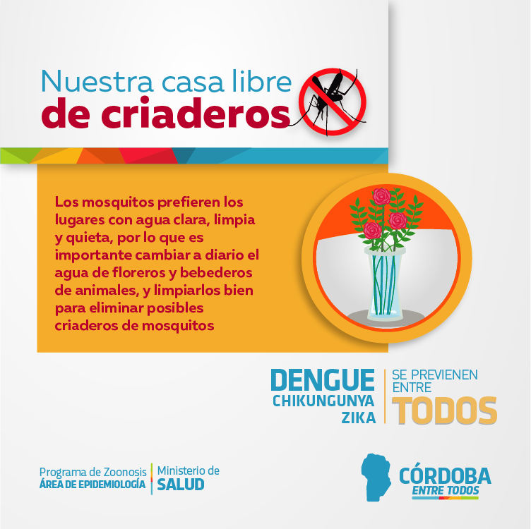 dengue