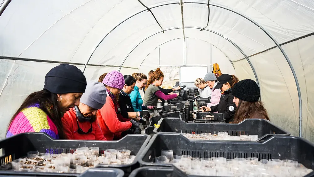 Sembradores de Agua 2025 - fotos Uky Ceballos (6)