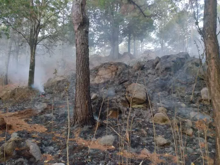 Villa General Belgrano: bomberos extinguieron un principio de incendio en el loteo Las Lagunitas