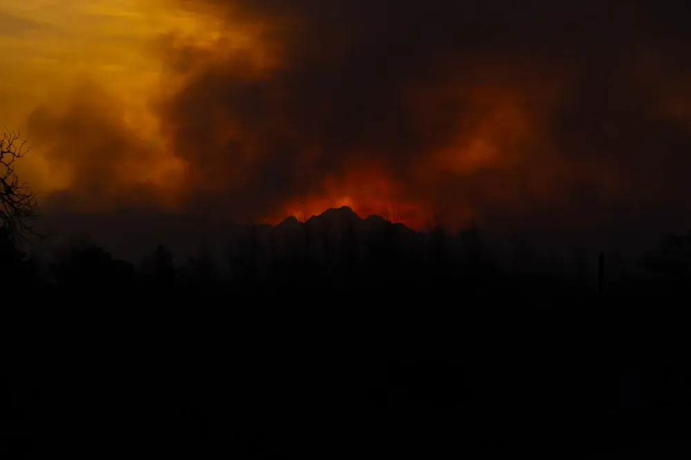 Sebastian Gil Miranda pic 11