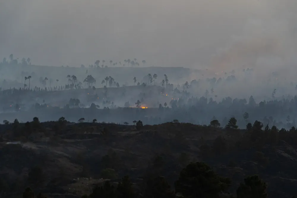 Sebastian Gil Miranda pic 13