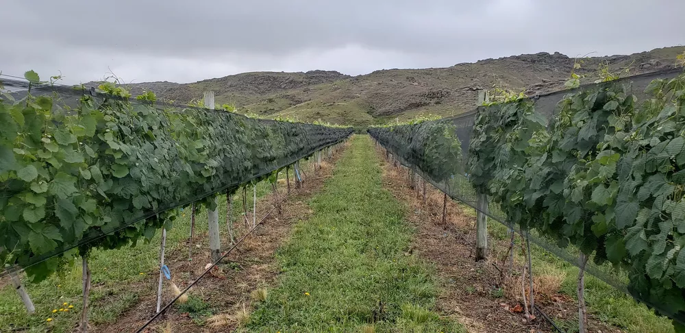 Finca Alma Minera (3)