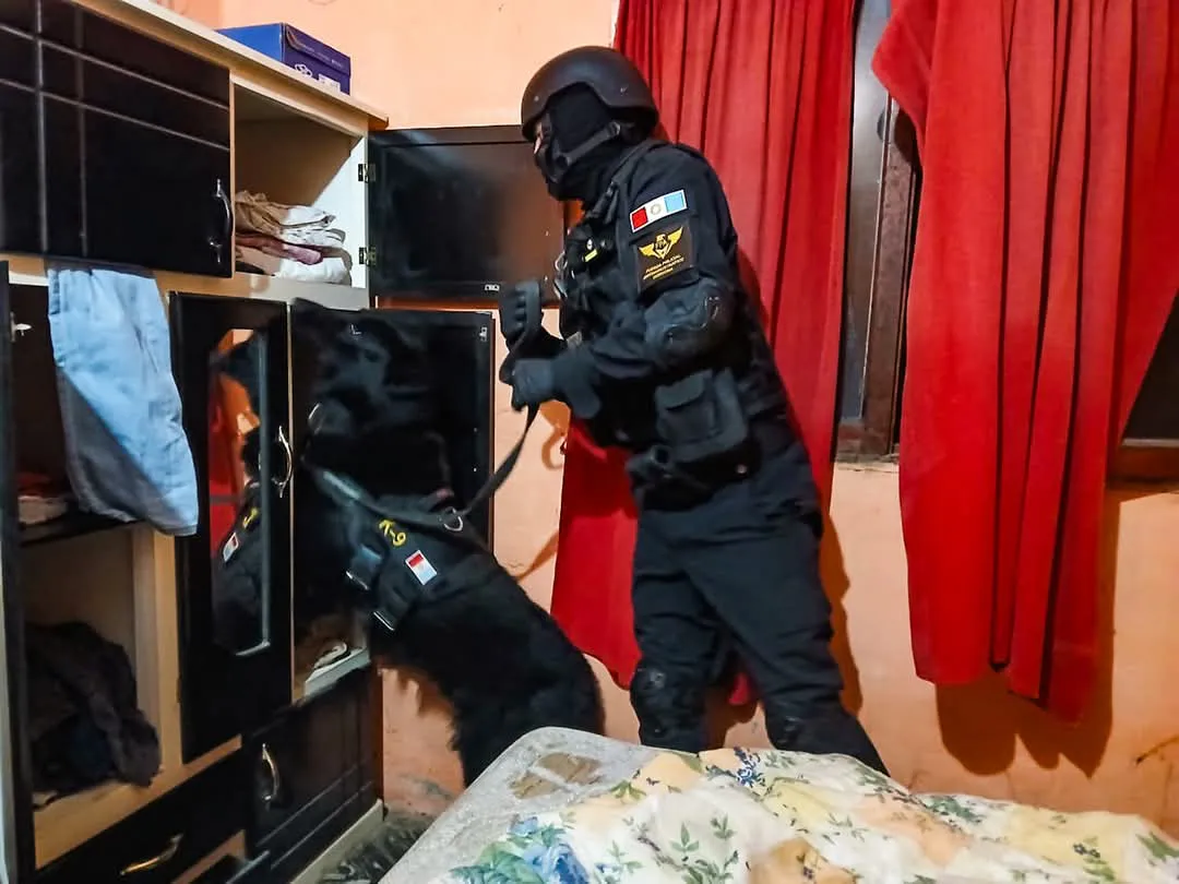 1ce99396-5230-4a22-abd7-3cacd788d3a3