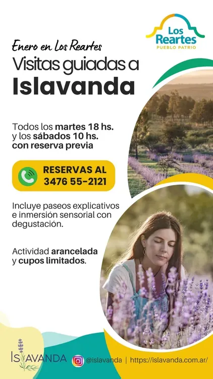 f0c6677e-bf12-44ed-8fe0-408c9448f0f8