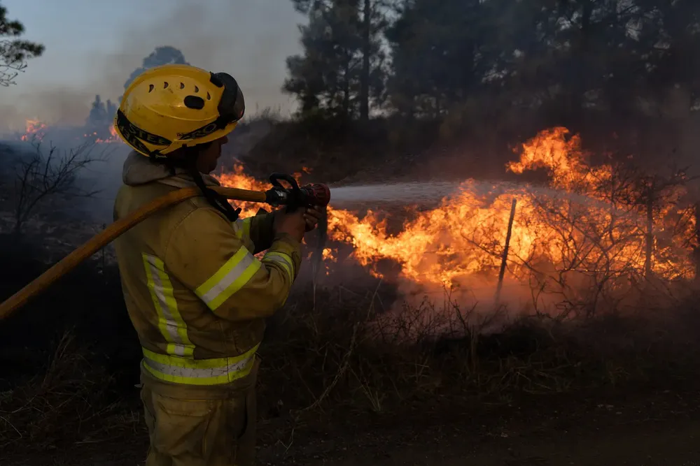 Foto: Sebastián Gil Miranda 