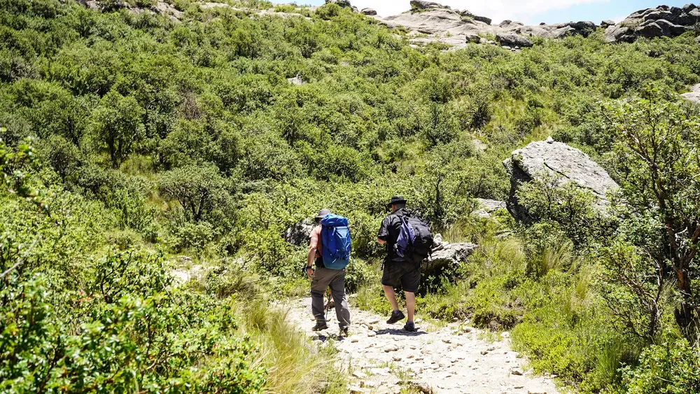 Sembradores de Agua 2025 - fotos Uky Ceballos (11)