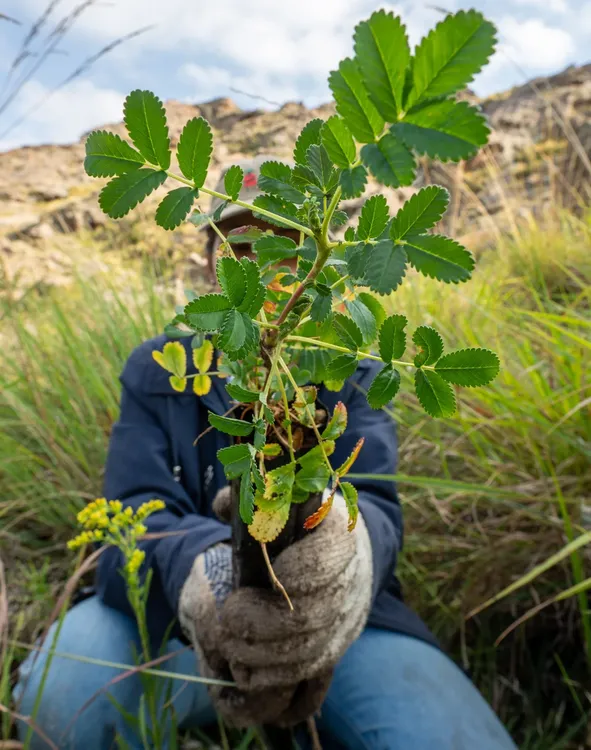 Sembradores de agua (1)