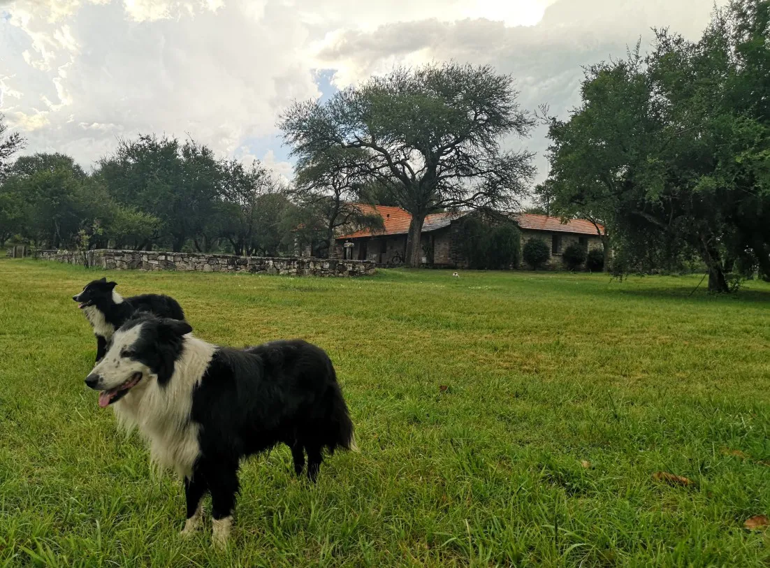 posta calma exterior (3)