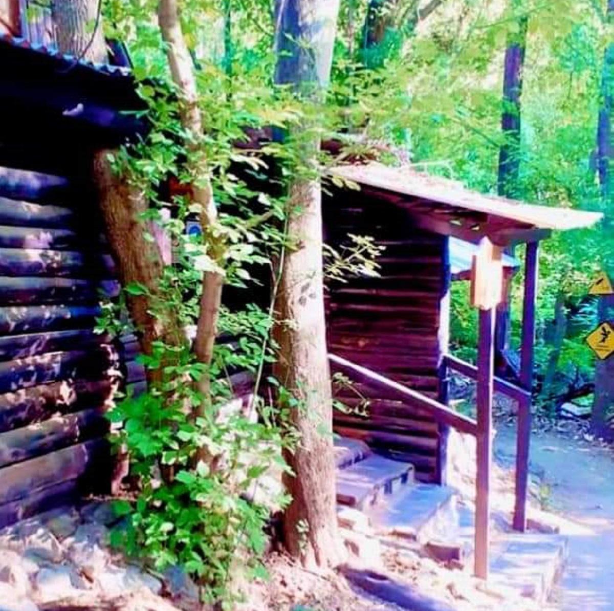 Bosque de Don Otto Villa General Belgrano