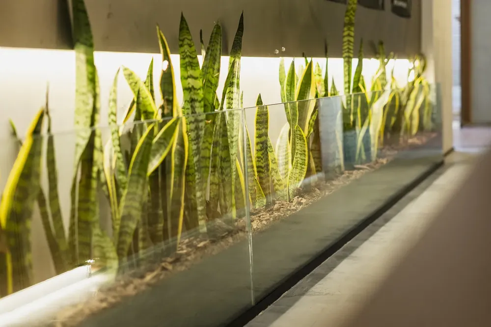 Estudio Zarzamora en Casa FOA 2025 (16)