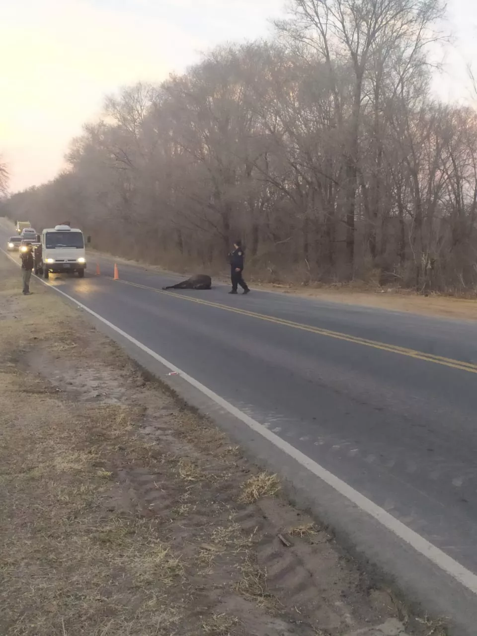 Accidente Santa Rosa con un caballo ruta5