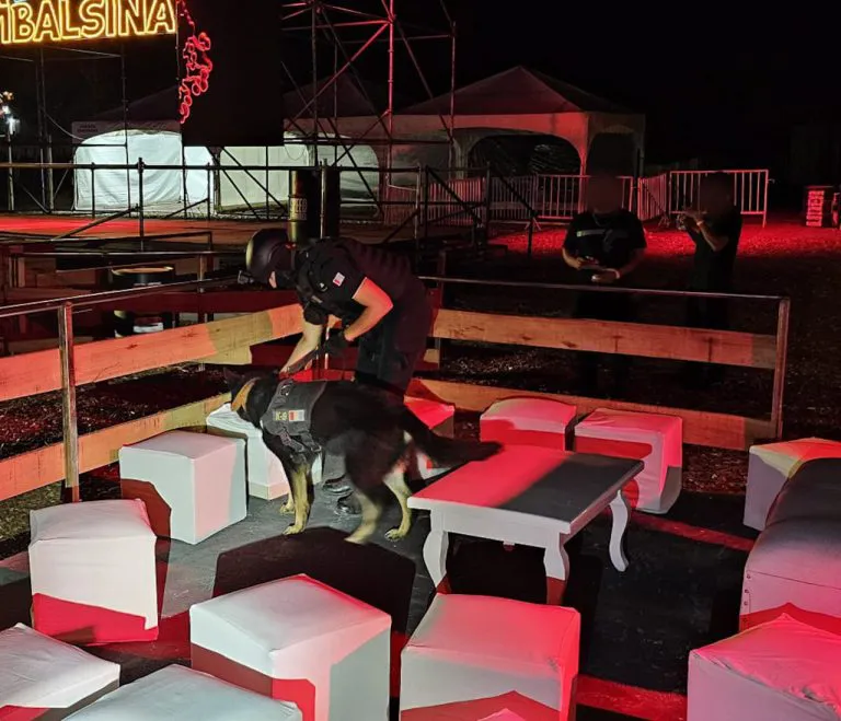 WhatsApp-Image-2025-01-05-at-10.46.33-AM-768x659