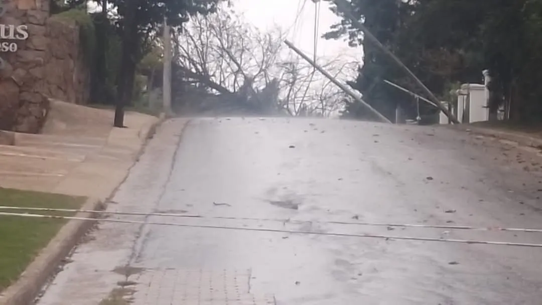 4e35d49d-02e0-4219-a64c-6d3a1d20b19f