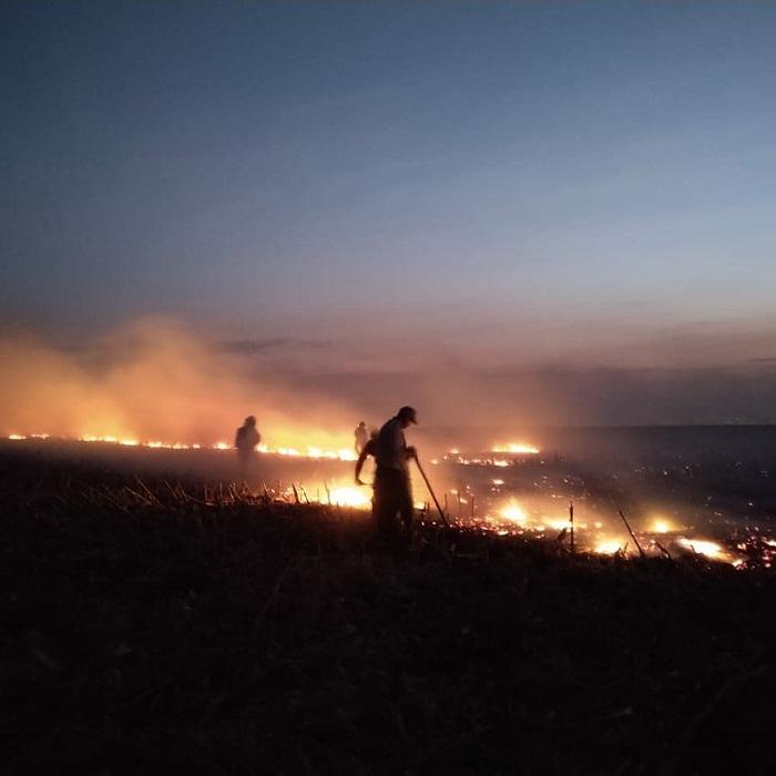 Incendio en Berrotaran 05