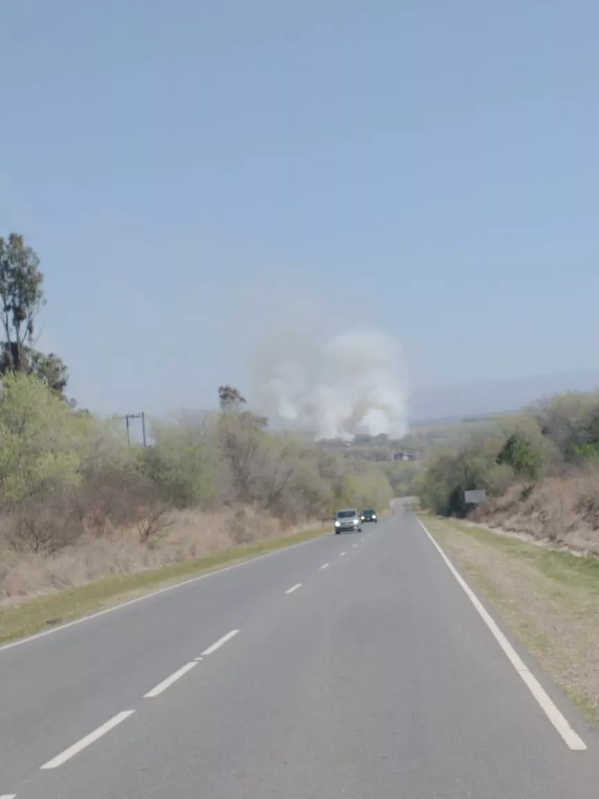 incendio en San ignacio 4